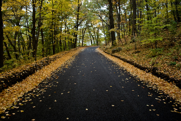 FOLIAGE ROAD
(Winnekenni Castle - Haverhill, MA - 10/22/2009)