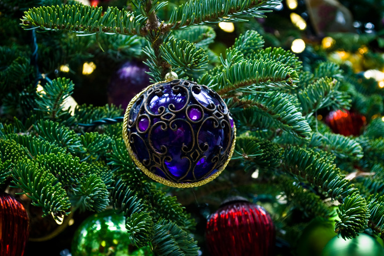 CHRISTMAS ORNAMANET
(Longwood Gardens - Kennett Square, PA - 12/04/2009)