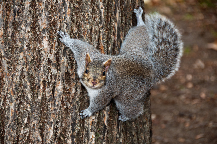 HANGIN' AROUND
(Campagnone Common - Lawrence, MA - 11/23/2010)