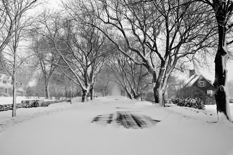 SNOWY ROAD
(Sea Road - Rye, NH - 01/12/2011)