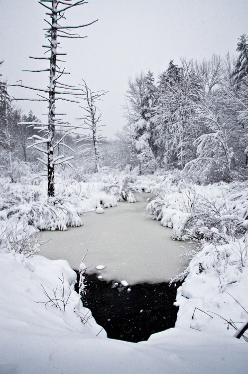 BLACK HOLE OF SNOW
(Meadowbrook Drive - Epping, NH - 03/01/2012)